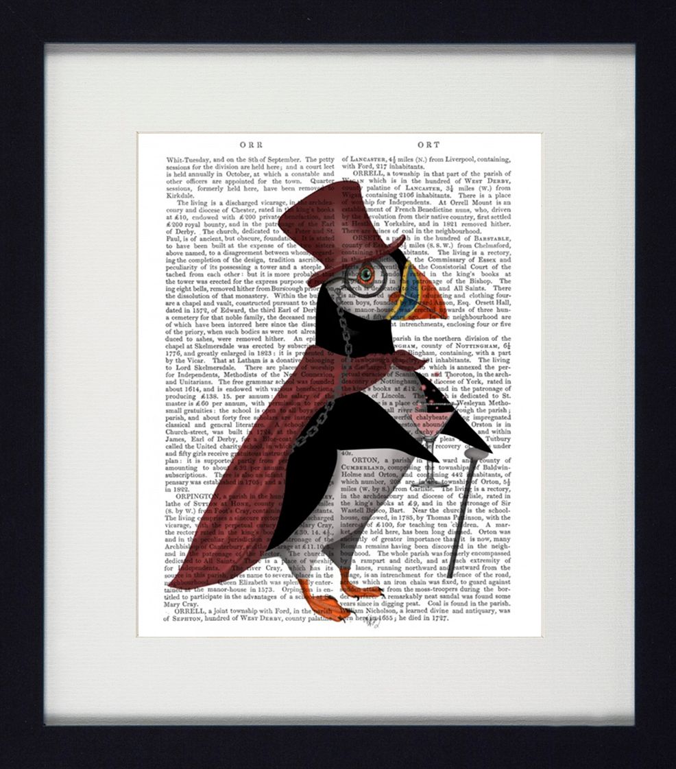Puffin Portraits I | Quirky Puffin Art | Framed Print with White Mount