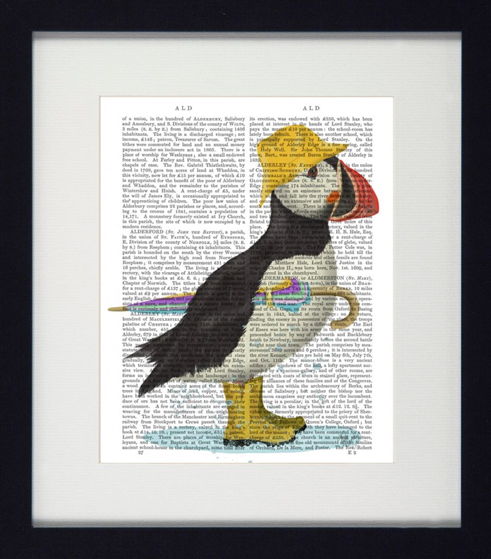 Puffin Portraits II | Quirky Puffin Art | Framed Print with White Mount