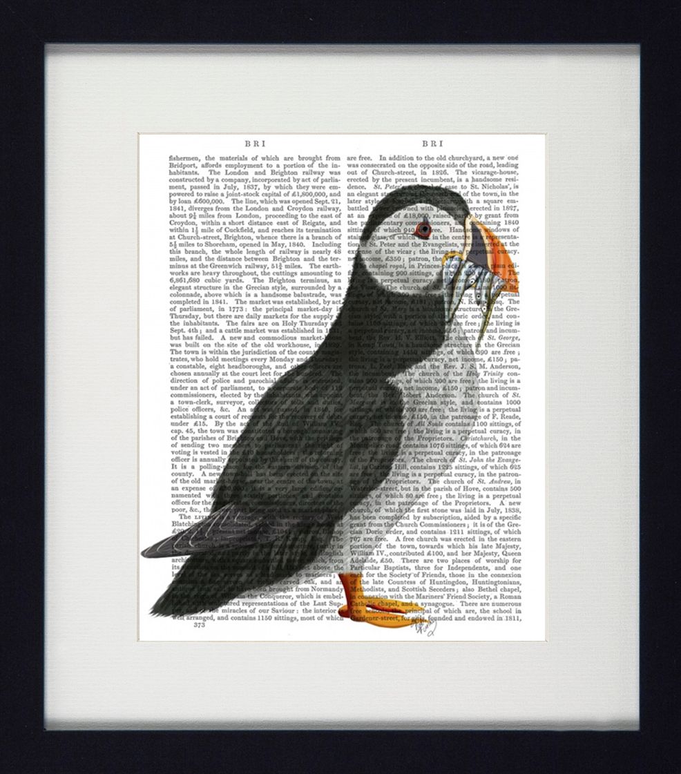 Puffin Portraits IV | Quirky Puffin Art | Framed Print with White Mount