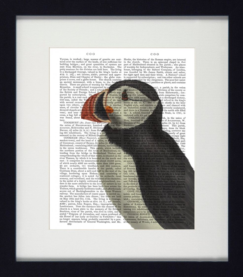 Puffin Portraits VI | Quirky Puffin Art | Framed Print with White Mount