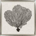 Silver Sea Fans I | Coastal Framed Artwork | Silver Varnished Frame