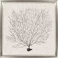 Framed artwork of a black coral branch on a textured white background