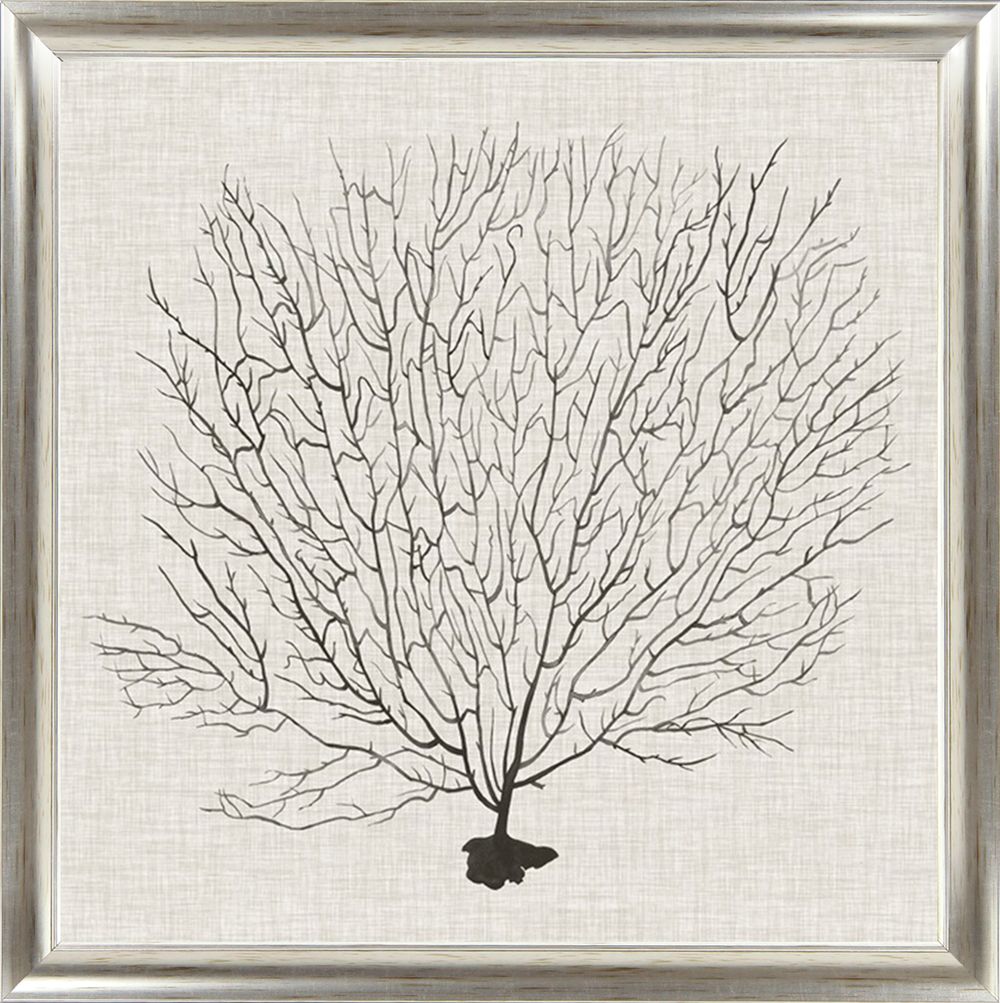 Framed artwork of a black coral branch on a textured white background