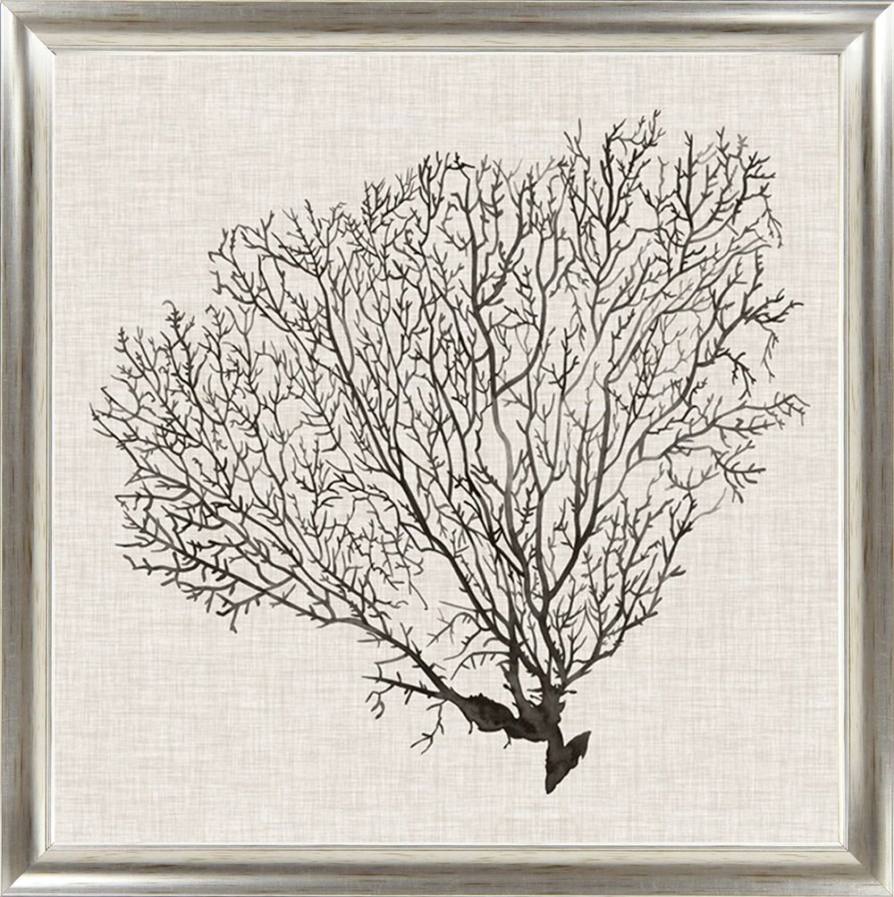 Silver Sea Fans IV | Coastal Framed Artwork | Silver Varnished Frame