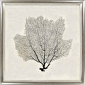 Silver Sea Fans V | Coastal Framed Artwork | Silver Varnished Frame
