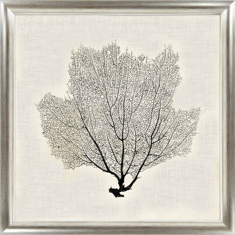 Silver Sea Fans V | Coastal Framed Artwork | Silver Varnished Frame