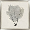 Silver Sea Fans VI | Coastal Framed Artwork | Silver Varnished Frame