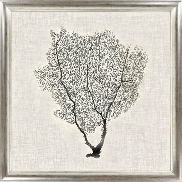 Silver Sea Fans VI | Coastal Framed Artwork | Silver Varnished Frame