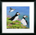 At the Coast I – Puffins