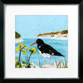 At the Coast VI – Oyster Catcher