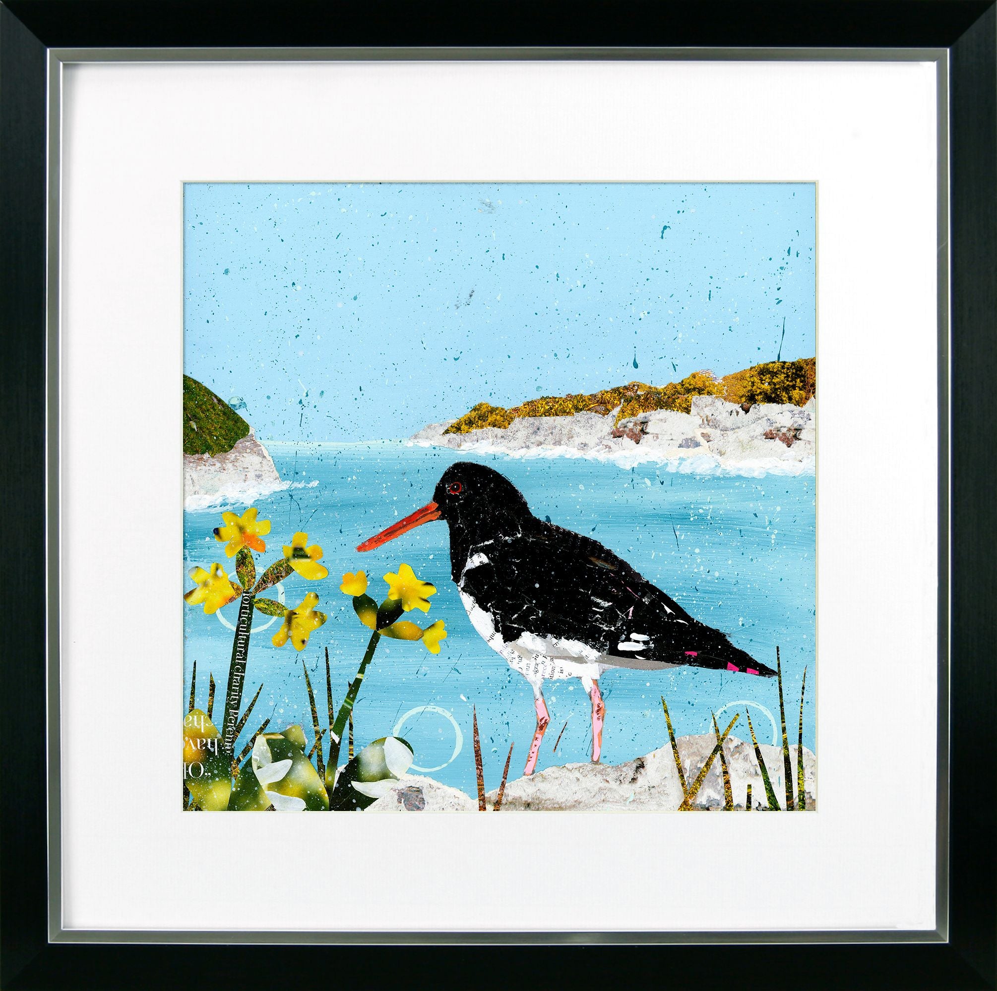 At the Coast VI – Oyster Catcher