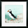 At the Coast VII – Puffin