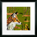 Nocturnal II – Fox