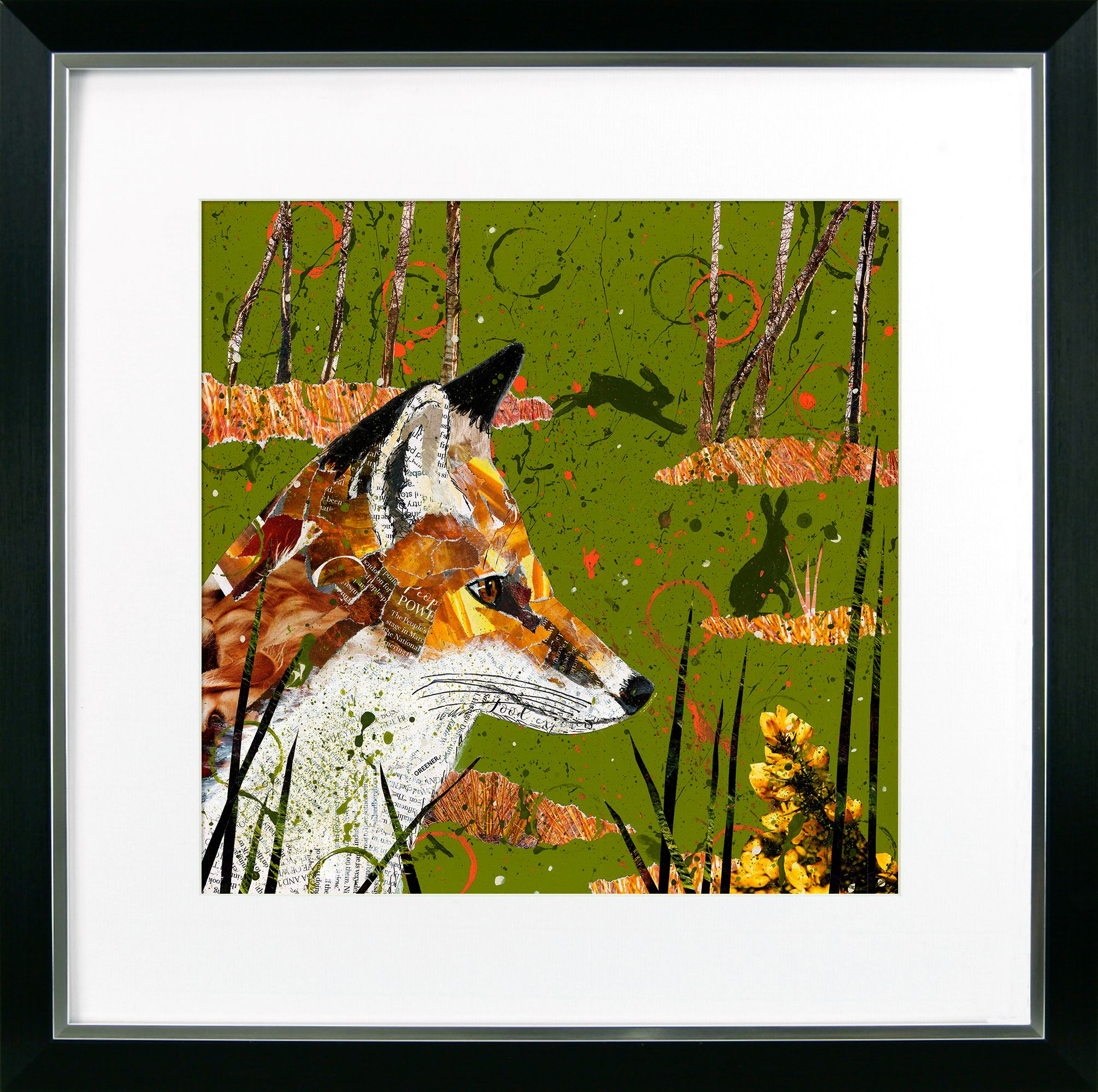 Nocturnal II – Fox