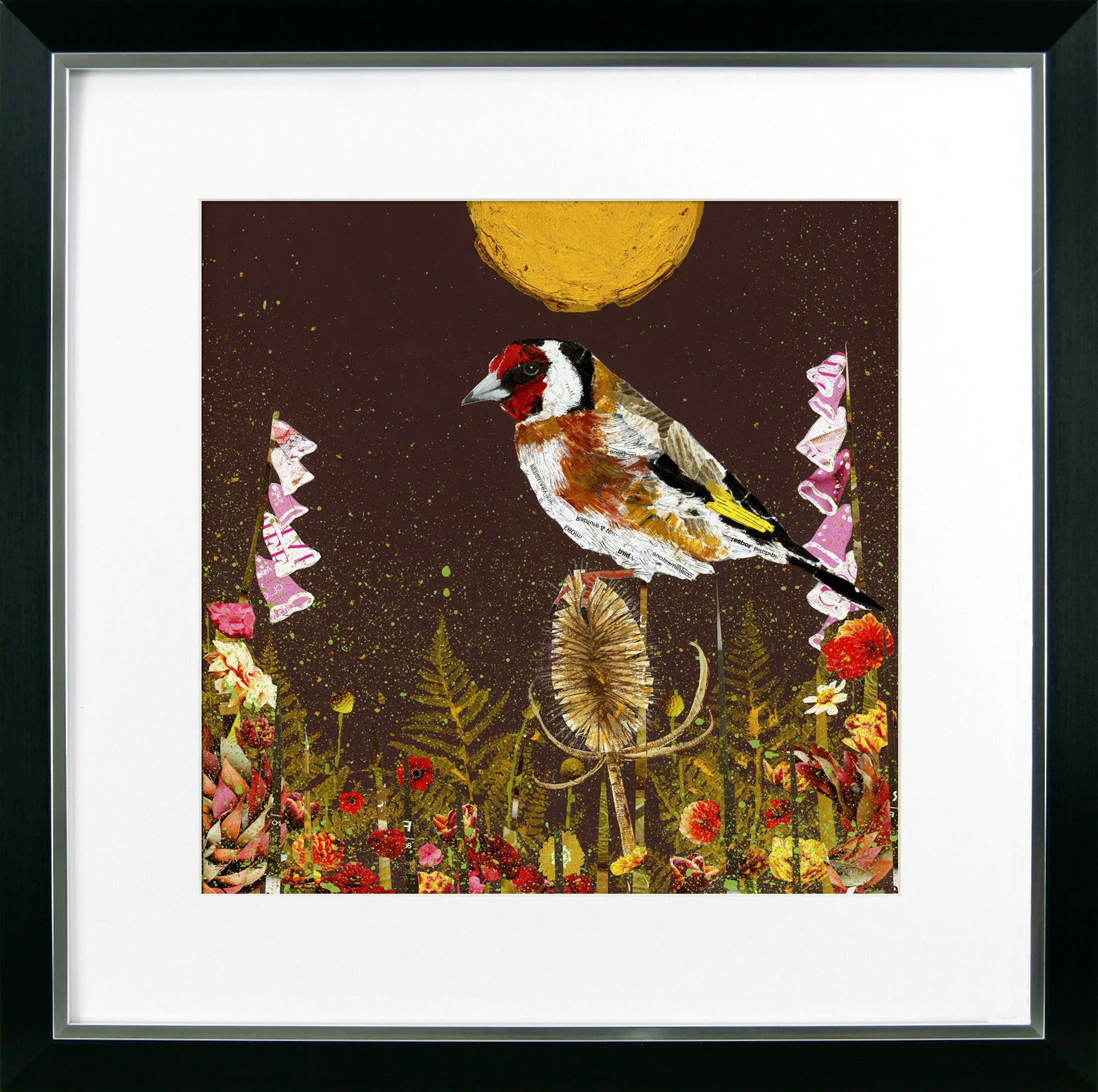 Nocturnal V – Goldfinch