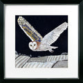 Nocturnal VII – Winter Flight