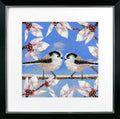 Bright & Beautiful Birds I – Long Tails