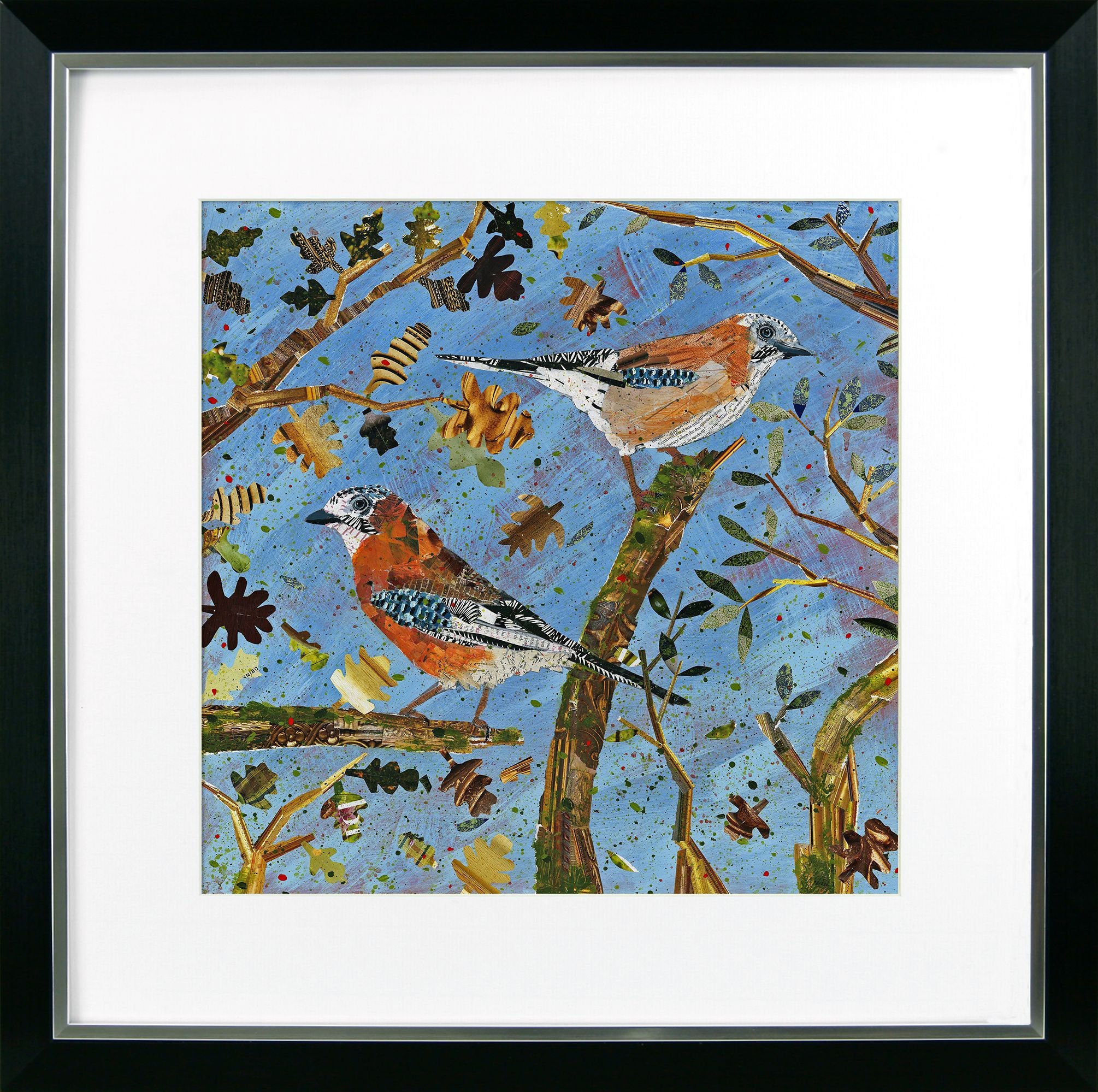 Bright & Beautiful Birds III – Jays