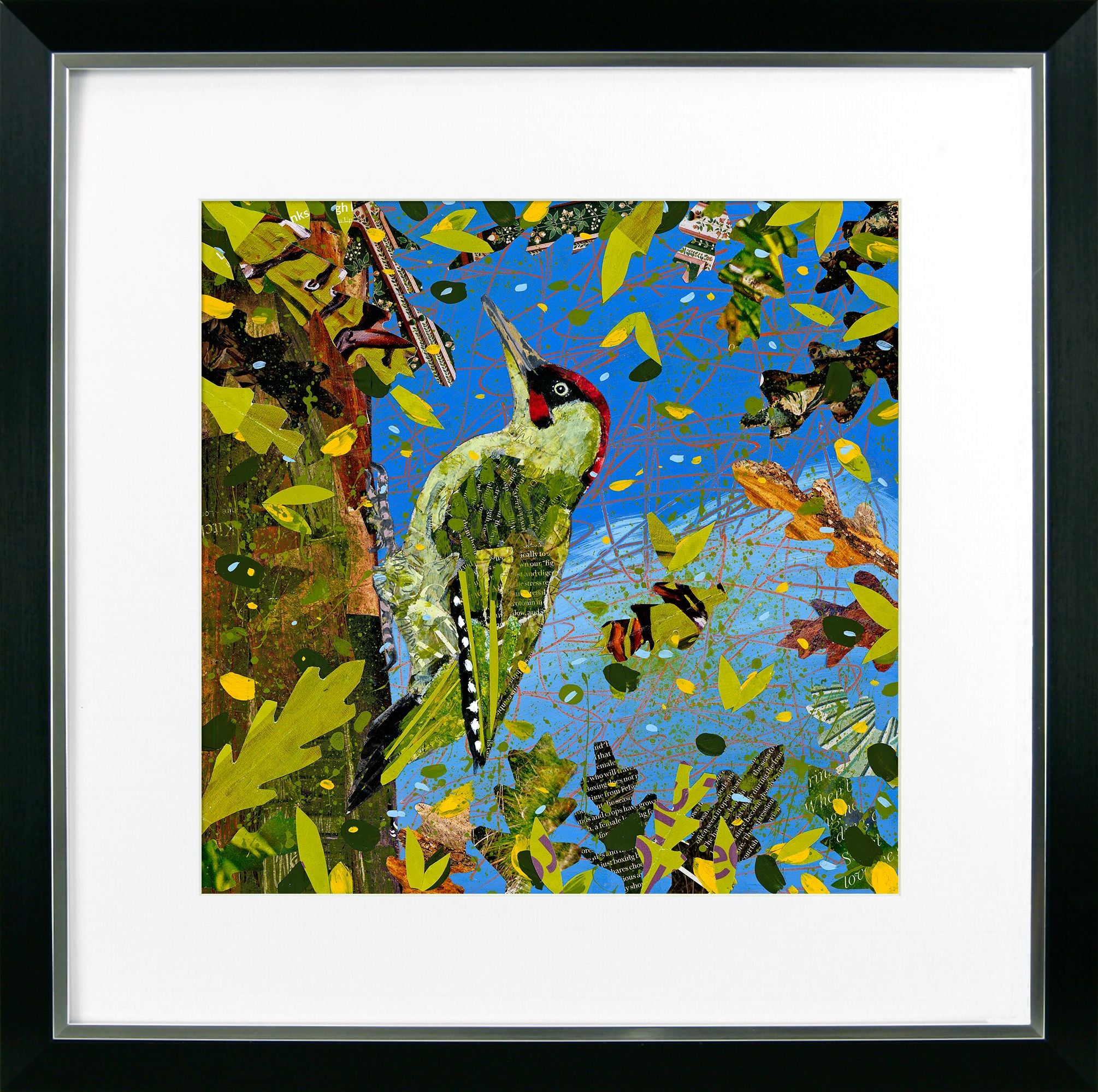 Bright & Beautiful Birds V – Woodpecker