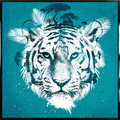 White Tiger | Pop Art Canvas Print by Robert Farkas