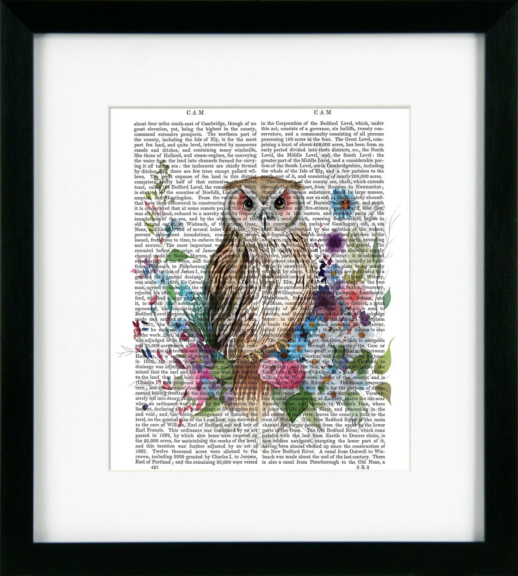 Floralessence I – Owl | Framed Print by Fab Funky