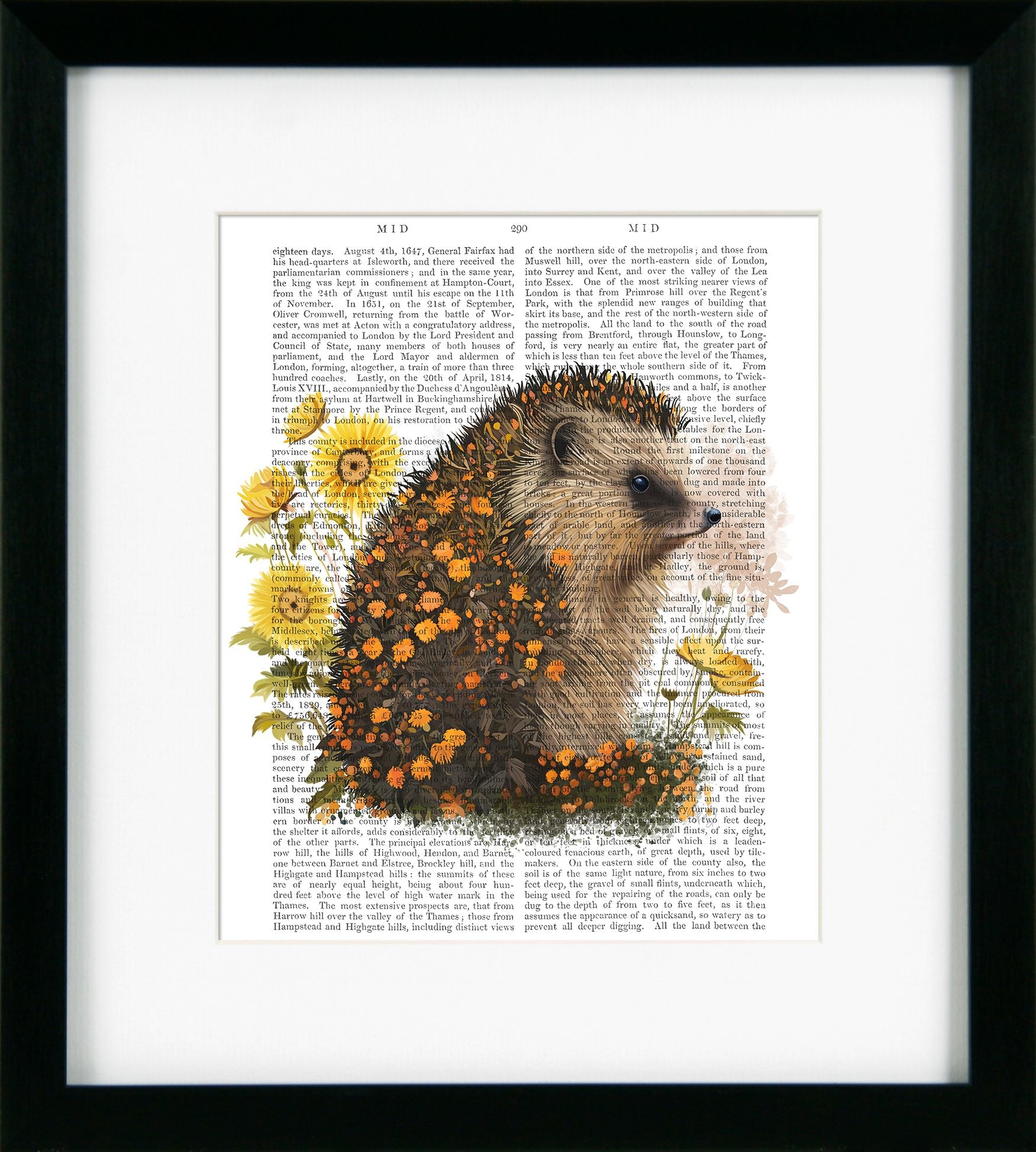 Floralessence V – Hedgehog | Framed Print by Fab Funky