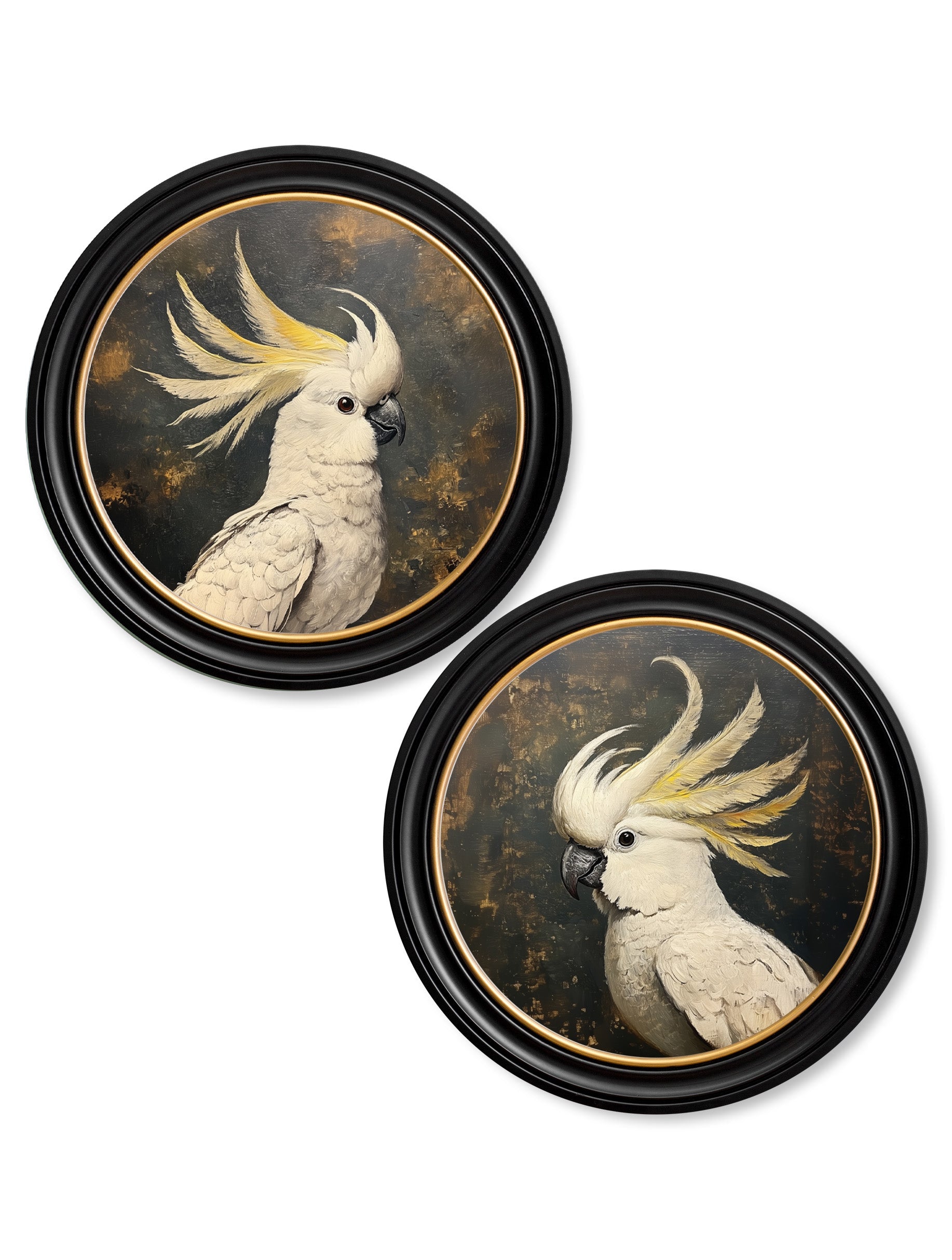 The Cockatoo Pair