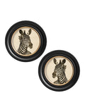c1890 Zebra Illustrations in Round Frame - Dark