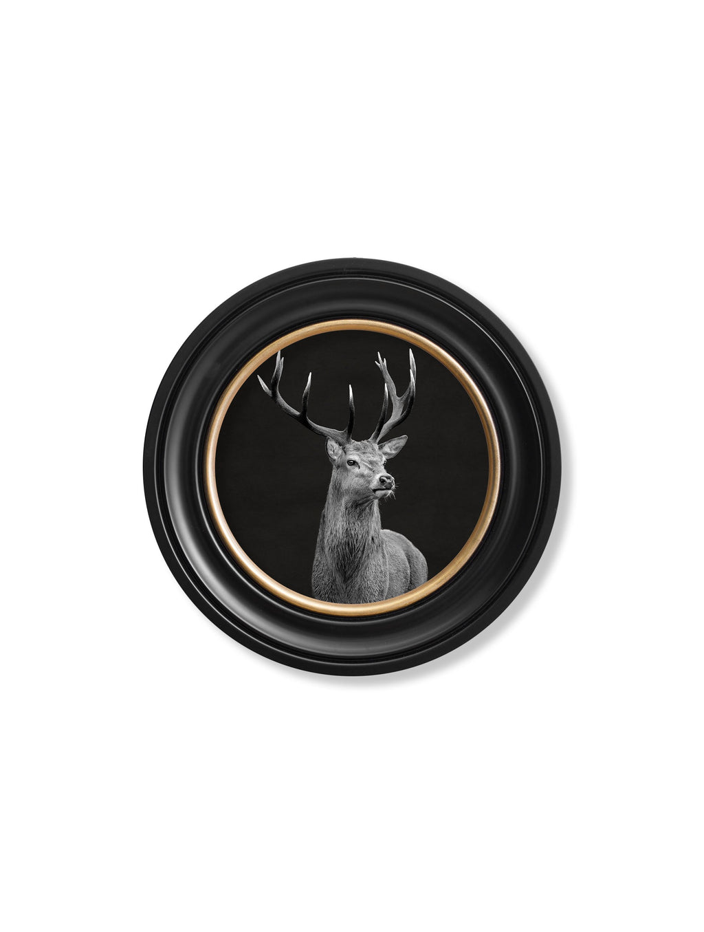 Framed artwork of a deer with a black background