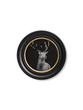 Framed artwork of a deer with a black background