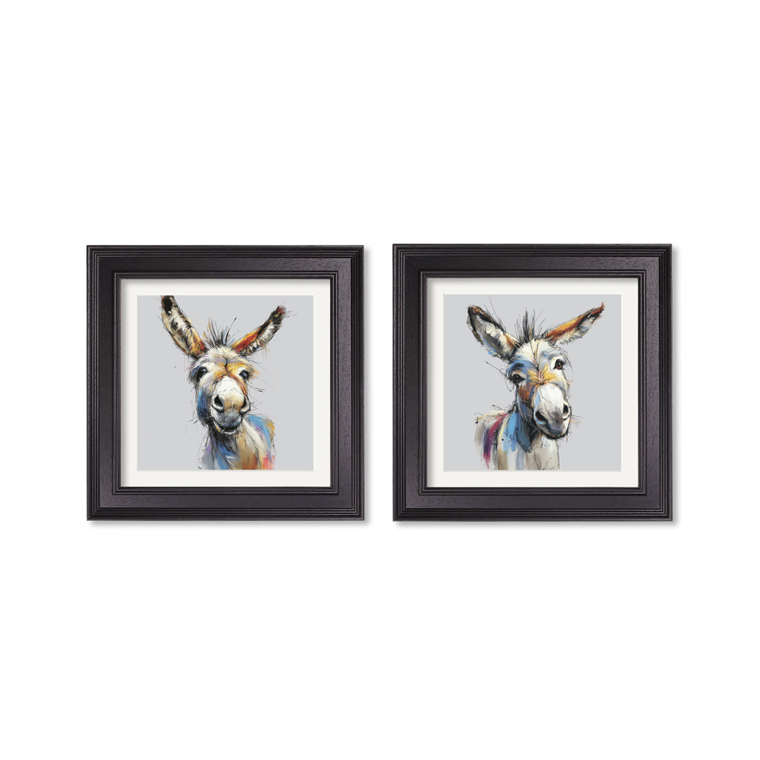Donkey Jack & Jennet Cosy Sketch - Black Hurstwood Square Frame