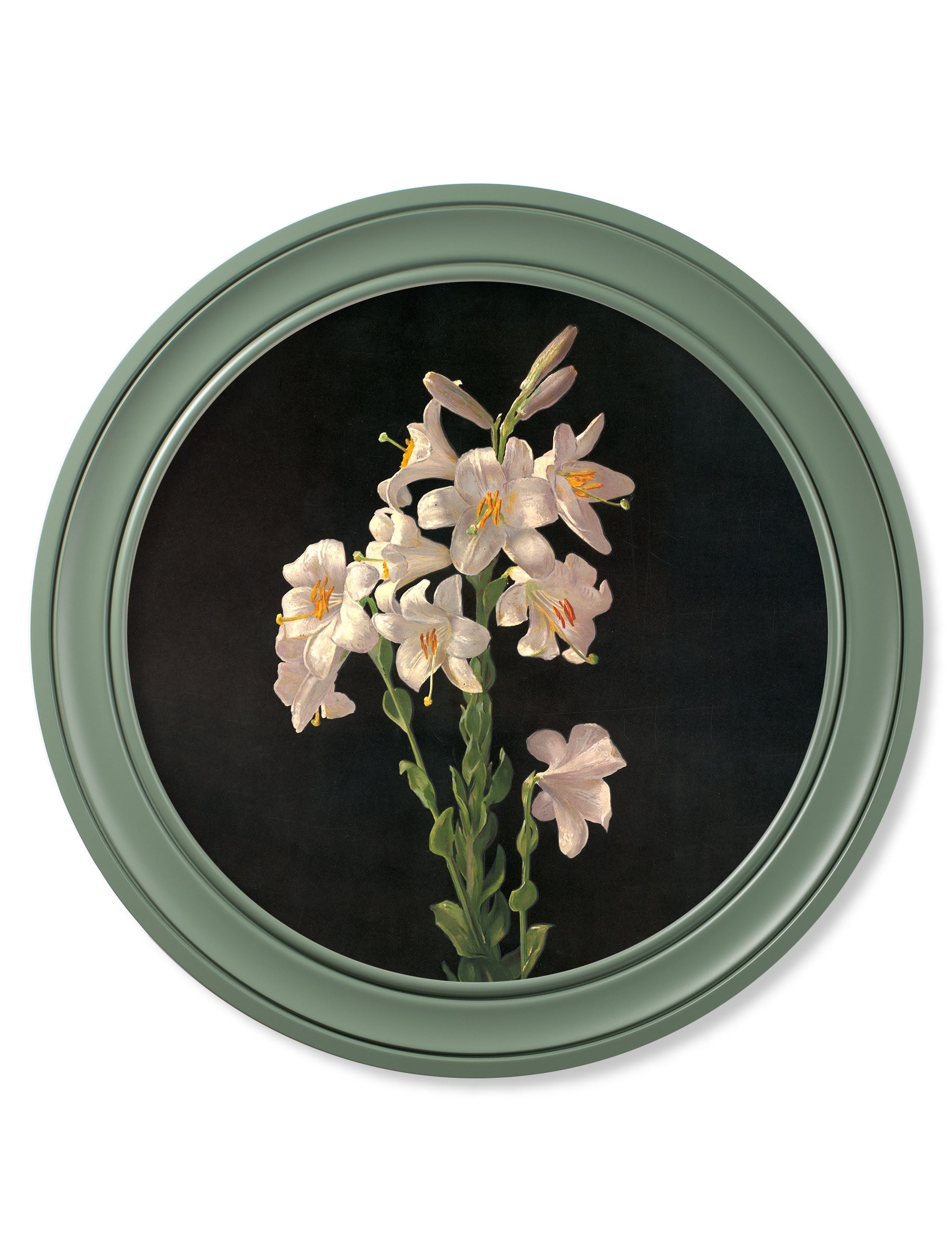 c.1874 George Cochran Lambdin Lillys - Round Frame Green