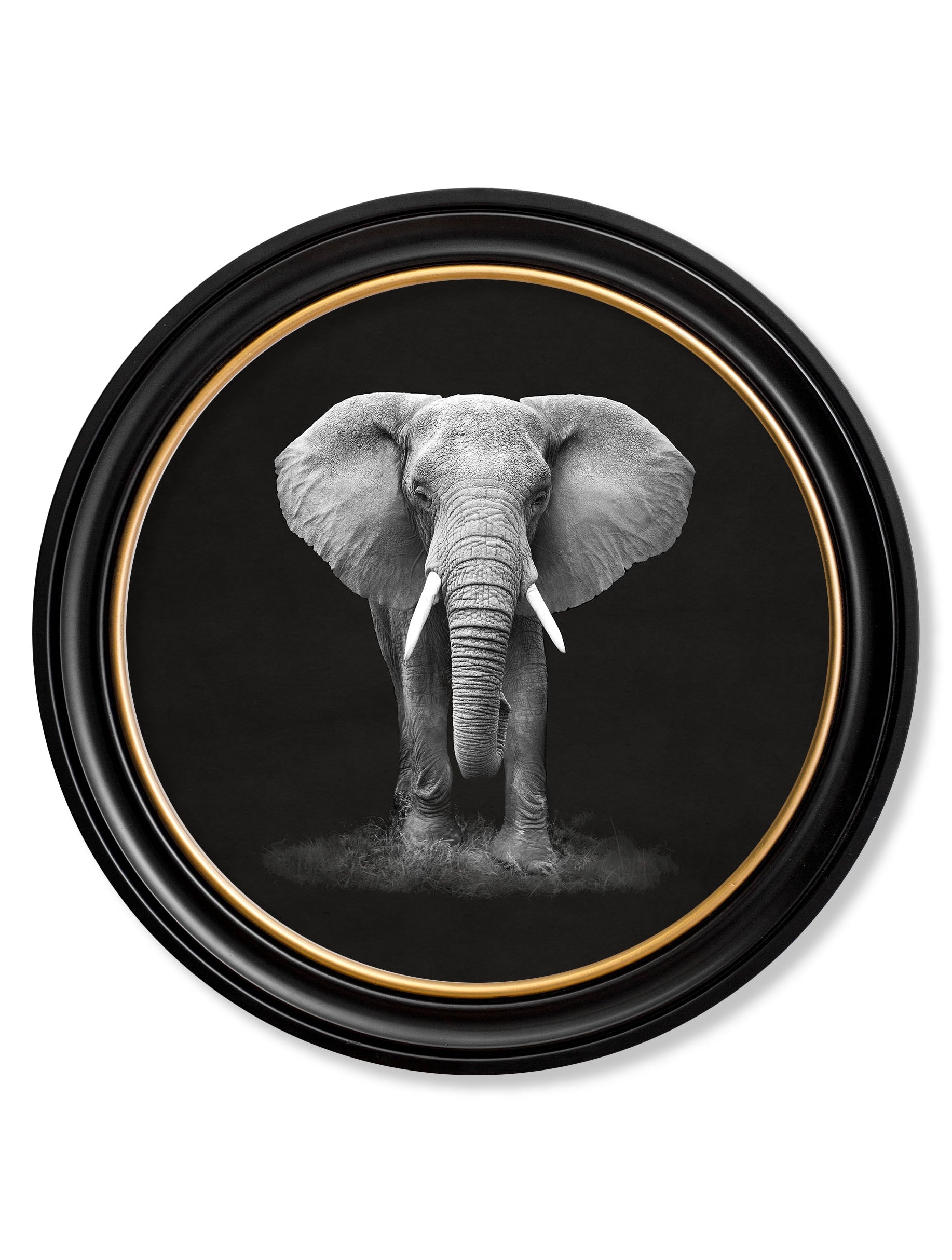 Framed artwork of an elephant on a black background