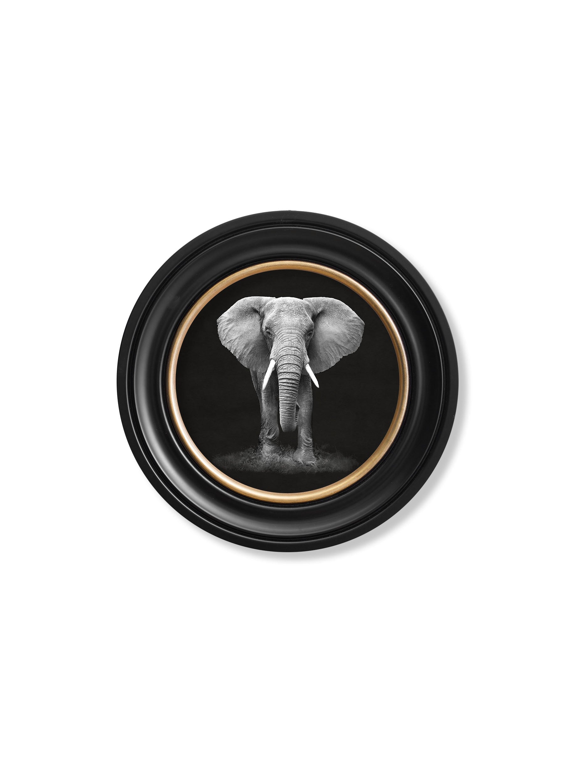 Framed artwork of an elephant on a white background