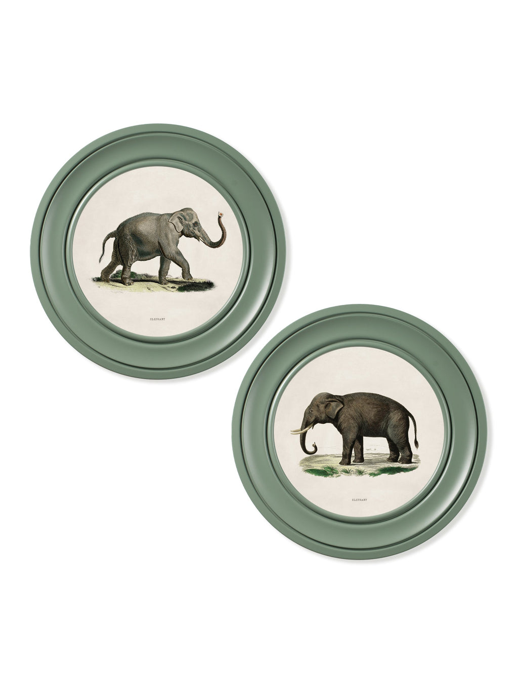 c.1846 Elephants in Round Frame Green