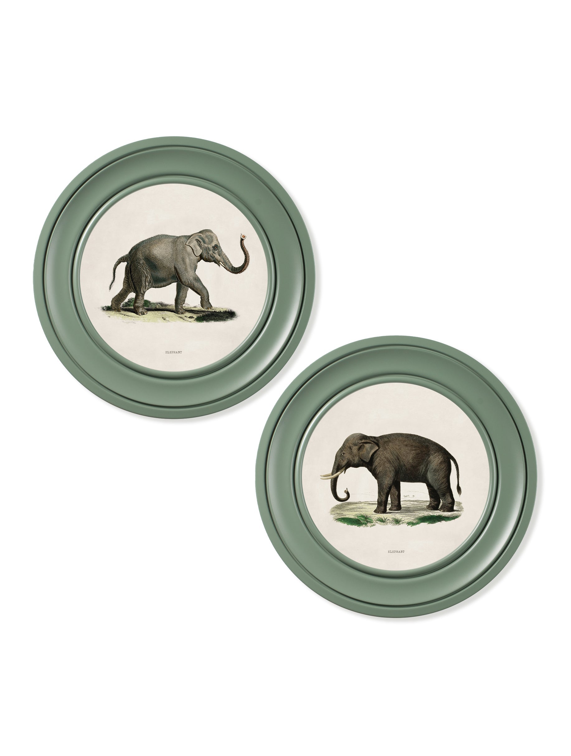 c.1846 Elephants in Round Frame Green
