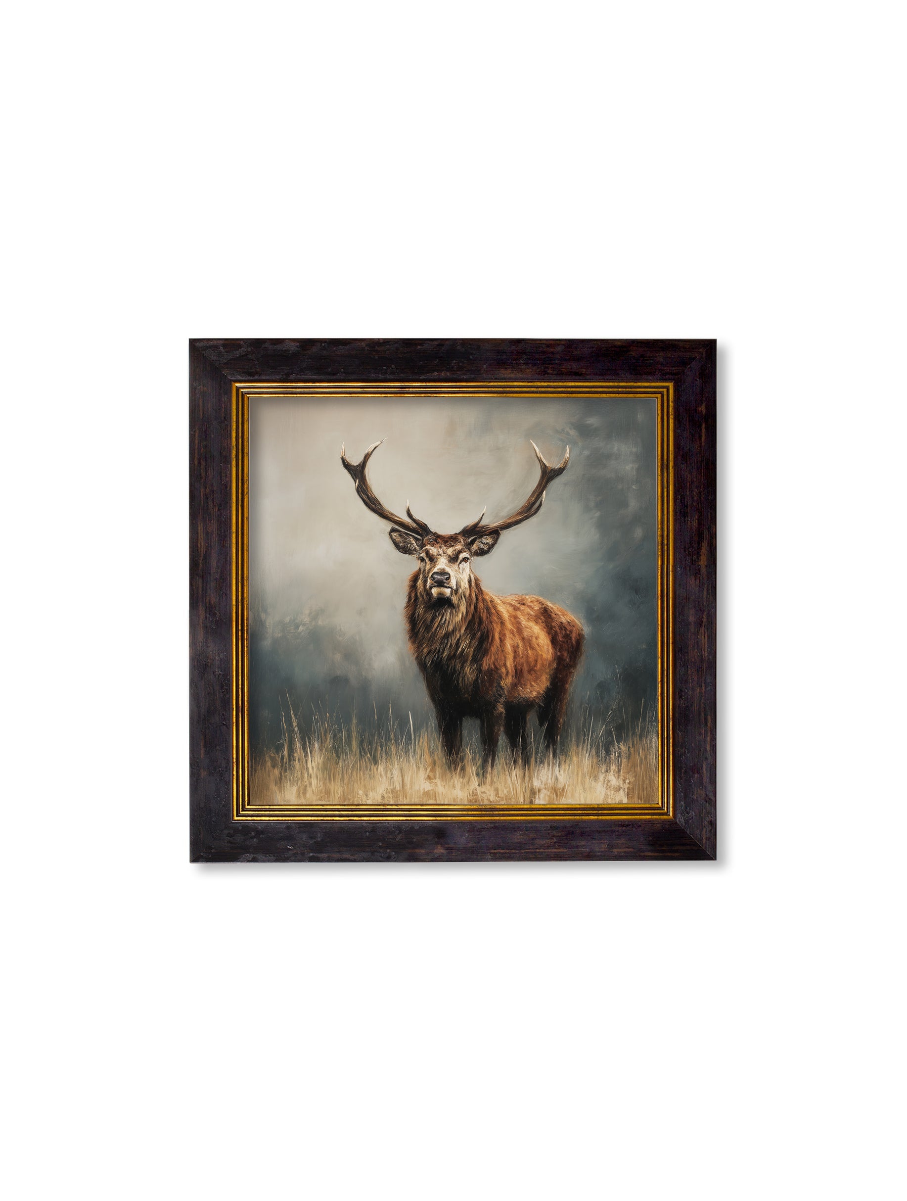 Highland Stag - Oxford Square Frame