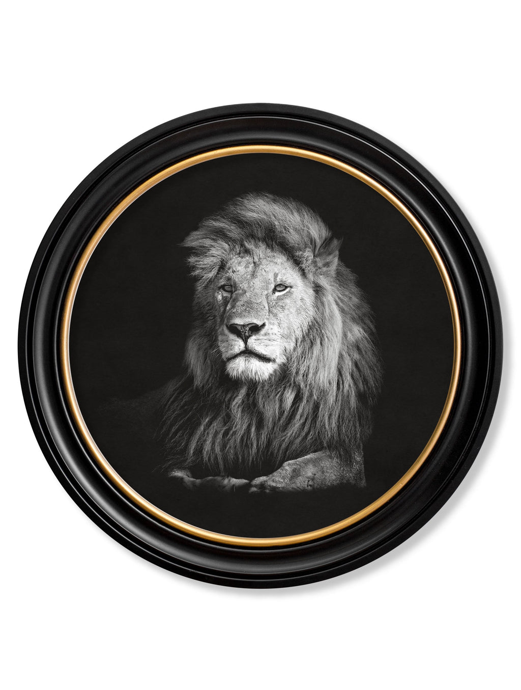 Framed artwork of a lion's head on a black background