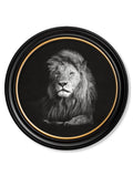 Framed artwork of a lion's head on a black background
