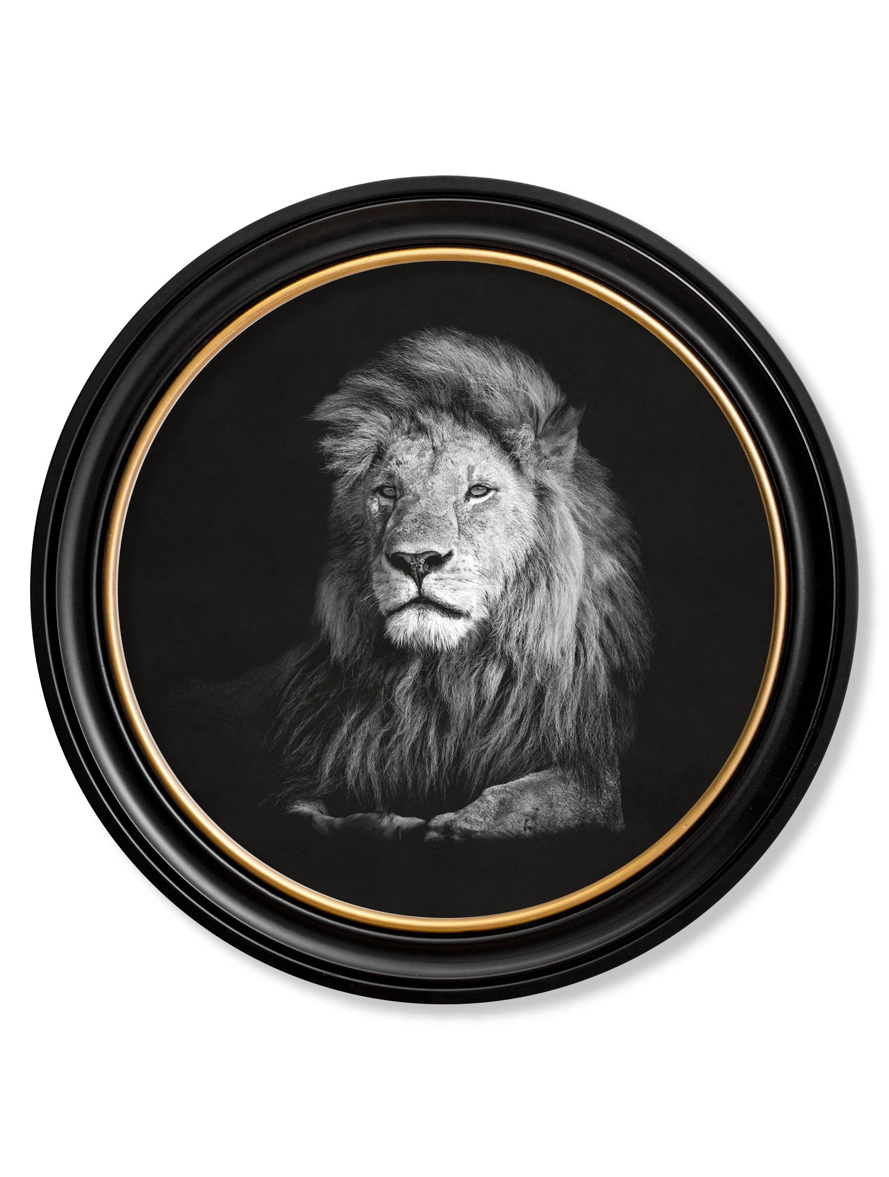 Framed artwork of a lion's head on a black background
