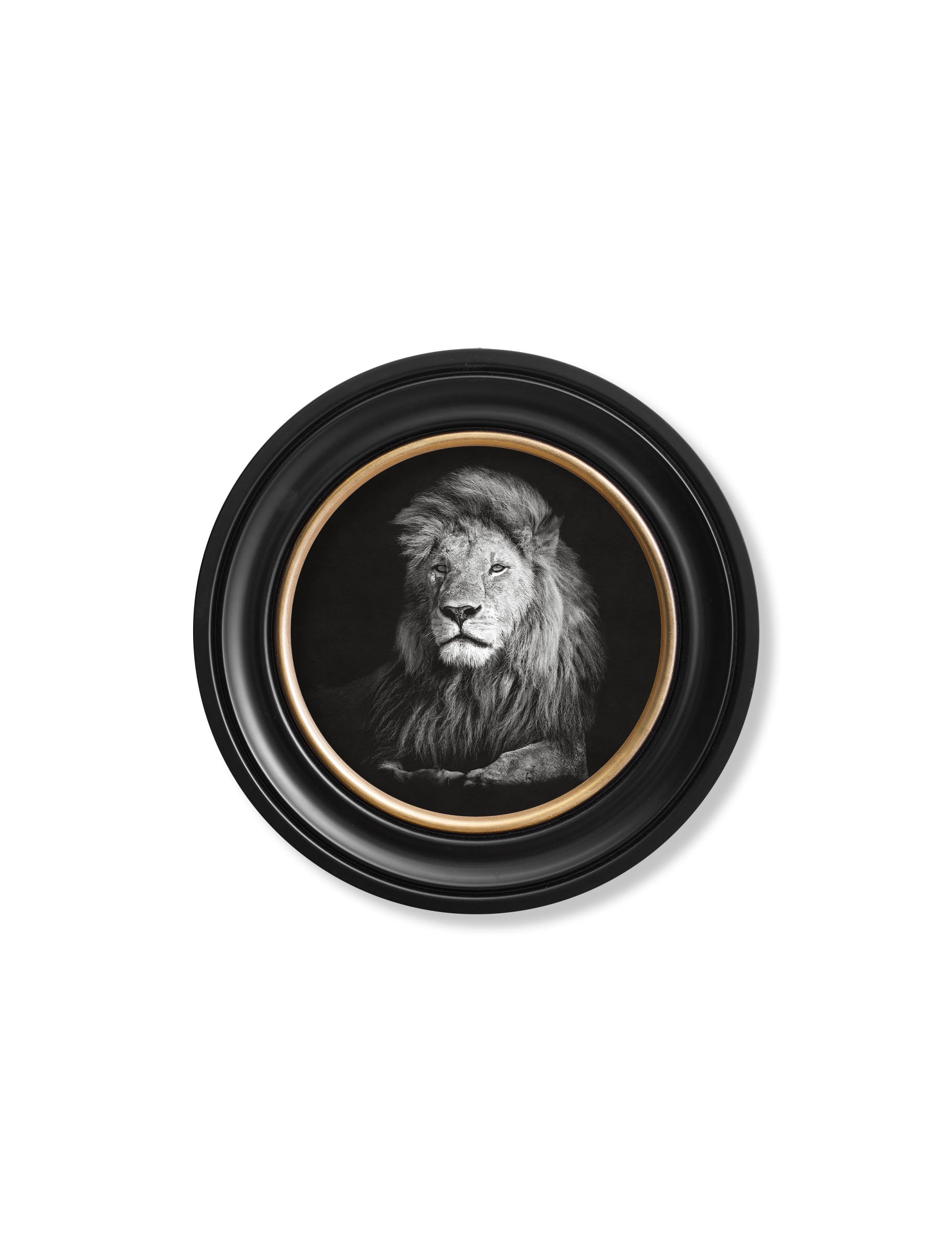 Framed artwork of a lion's head on a white background