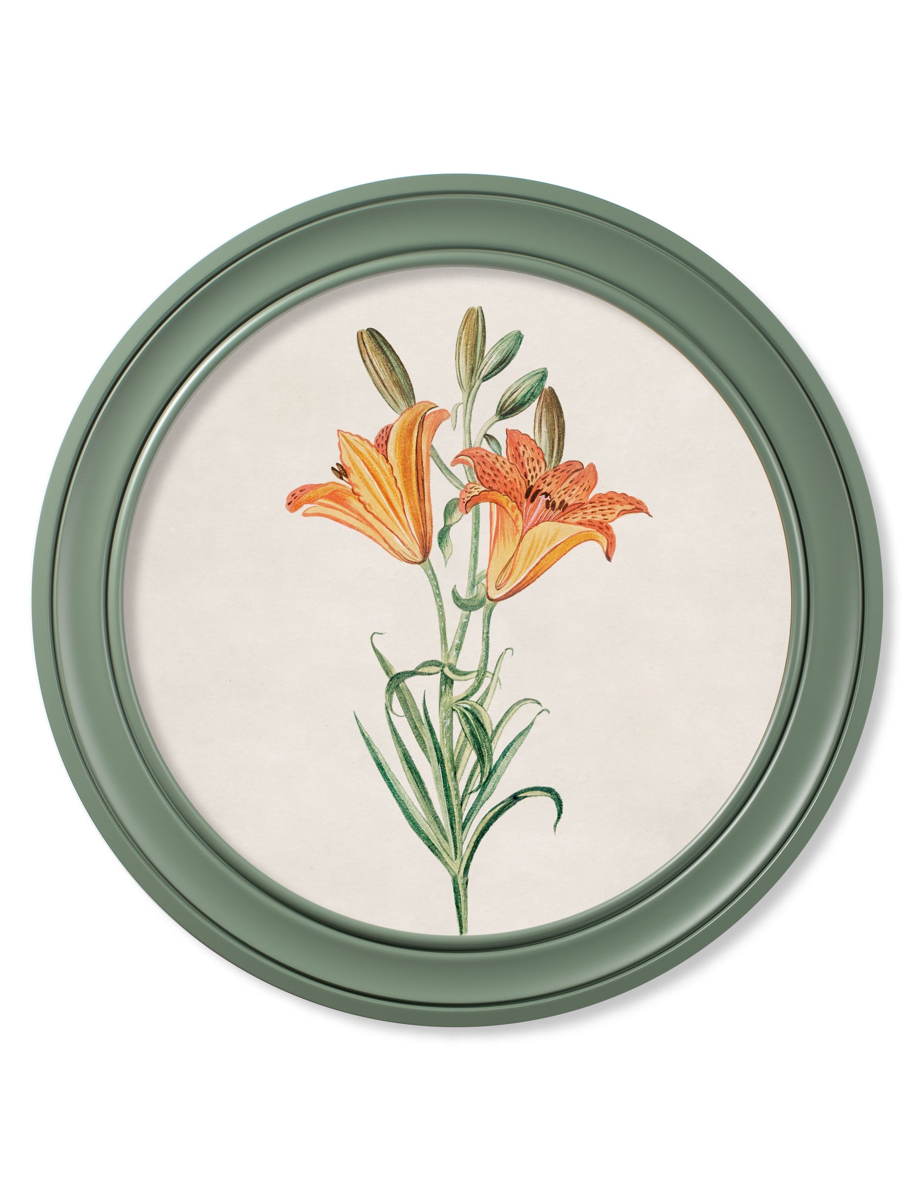 c.1780 Flowering Plants Round Frame Green