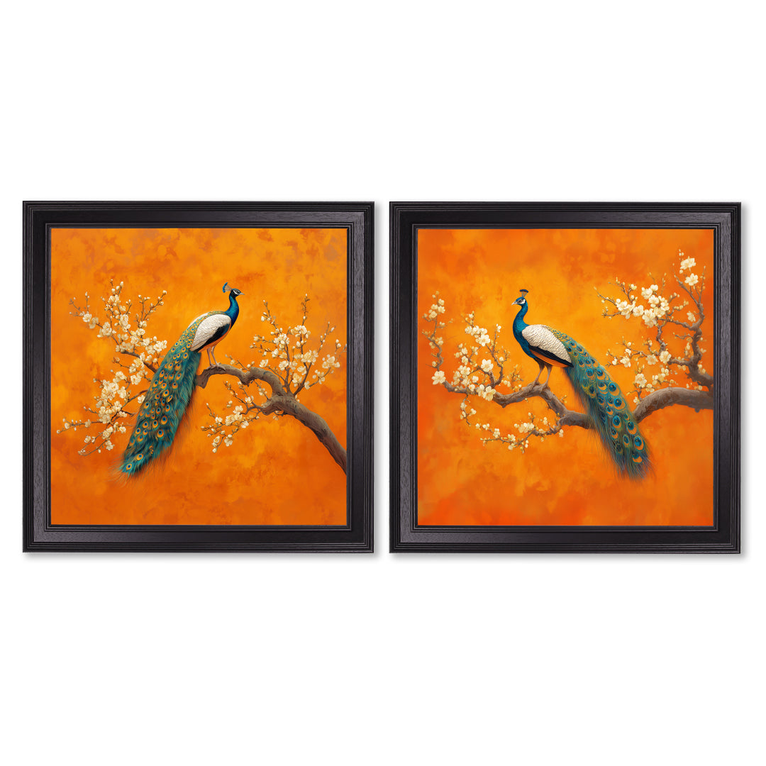 Peacocks In Saffron Garden - Black Hurstwood Square Frame
