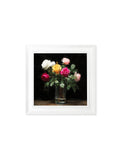 Roses After Dark - White Hurstwood Square Frame