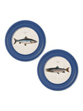 c.1785 Studies of Salmon - Round Frame Blue