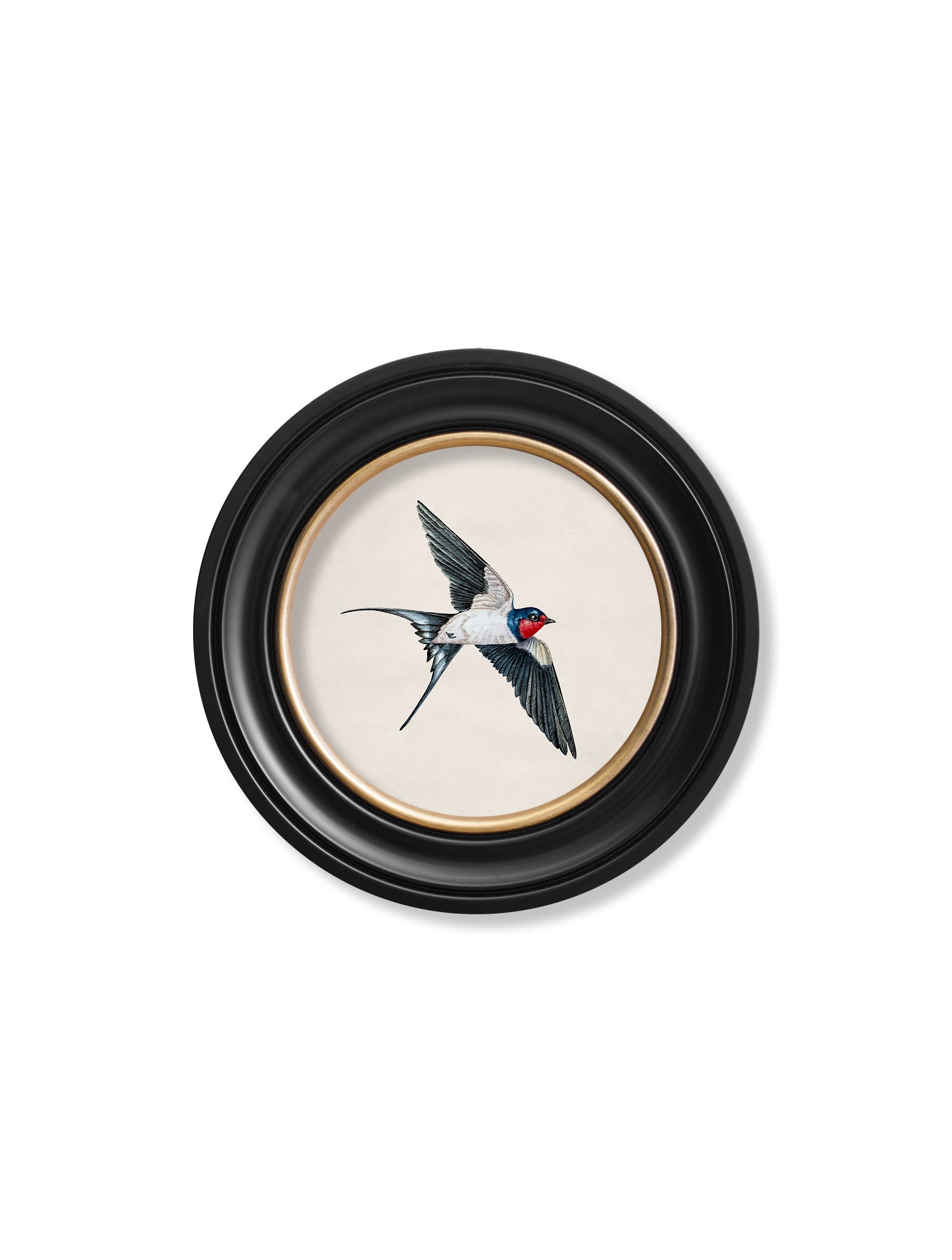 c.1875 Swallows in Round Frames