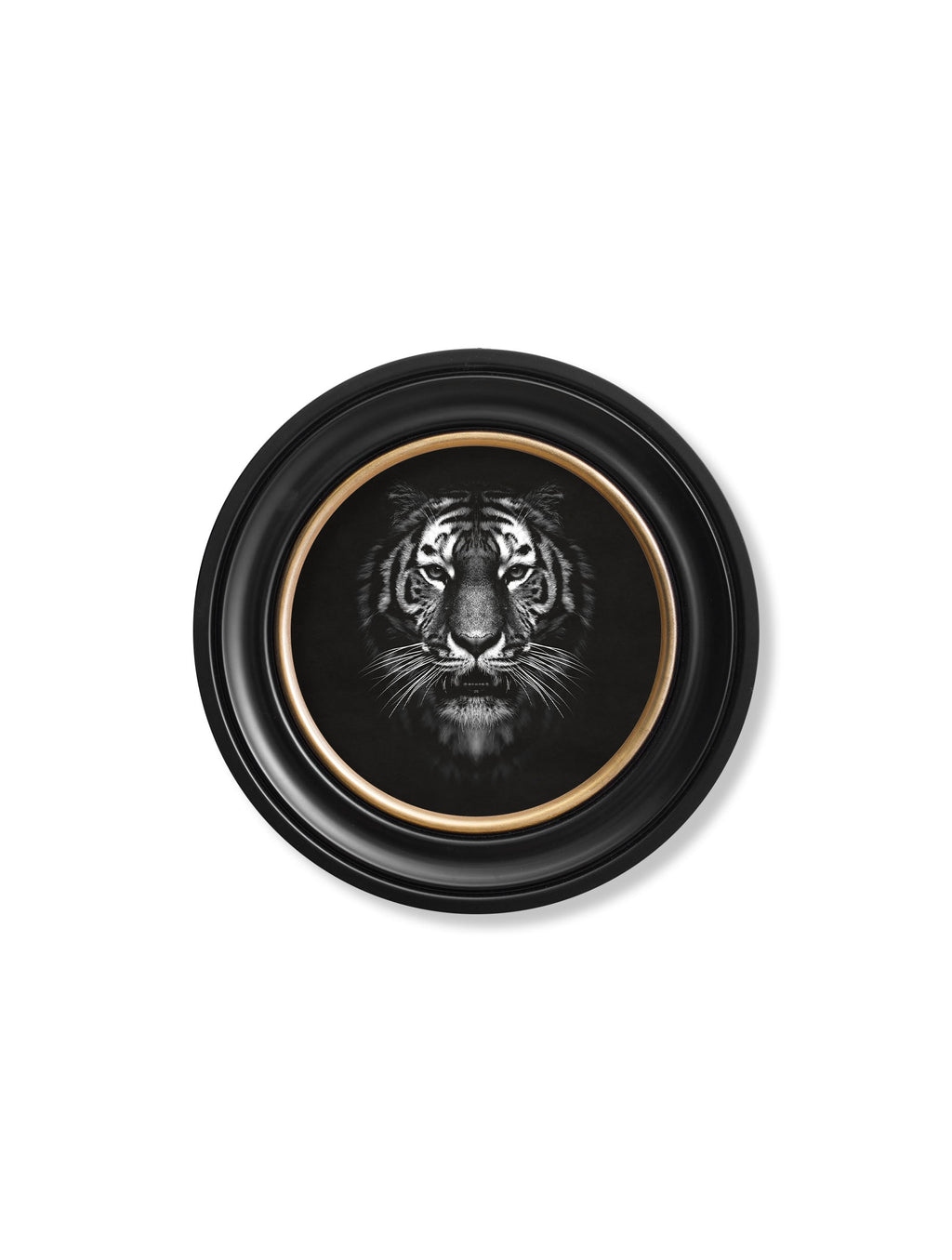 Tiger | Black & White Wildlife Photography Print in Round Frame
