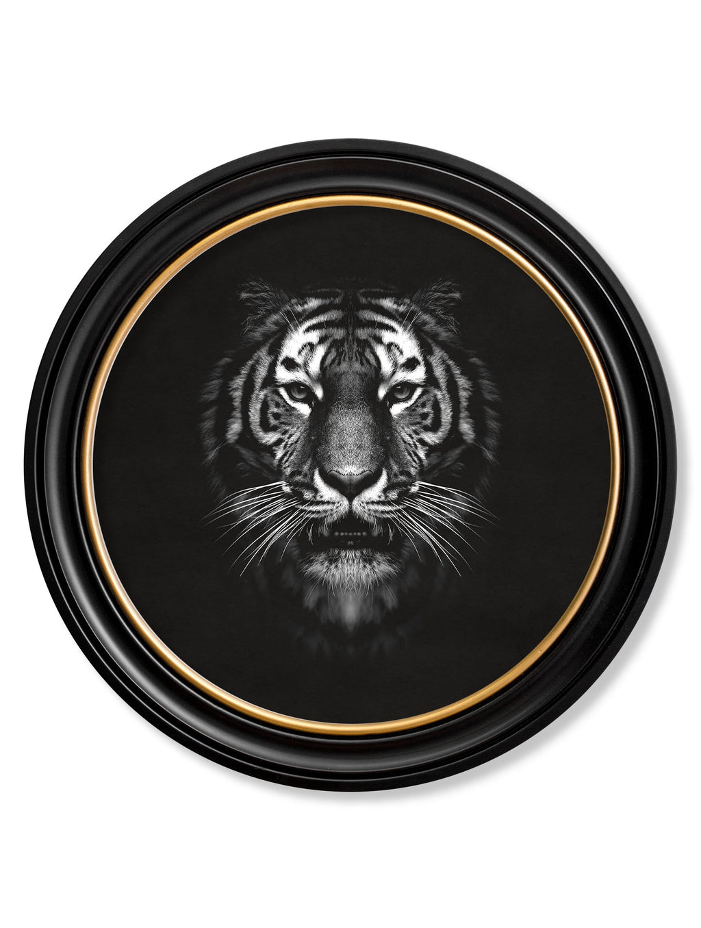 Tiger | Black & White Wildlife Photography Print in Round Frame