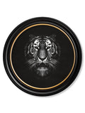 Tiger | Black & White Wildlife Photography Print in Round Frame