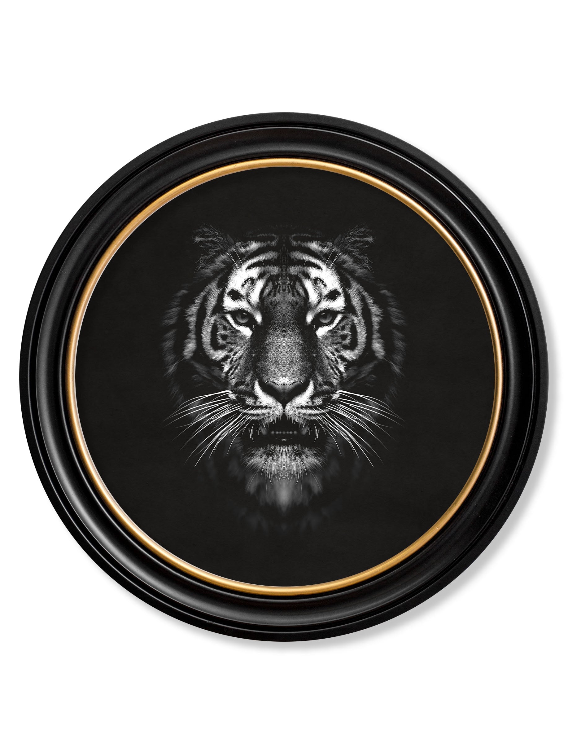 Tiger | Black & White Wildlife Photography Print in Round Frame